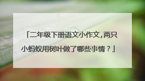 二年级下册语文小作文,两只小蚂蚁用树叶做了哪些事情？