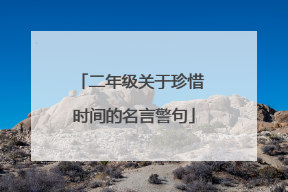 二年级关于珍惜时间的名言警句