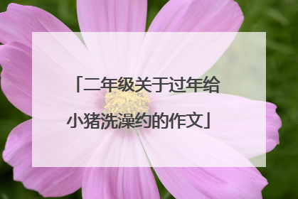 二年级关于过年给小猪洗澡约的作文