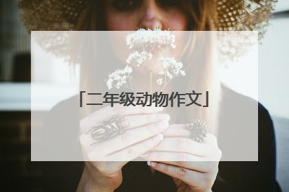 二年级动物作文