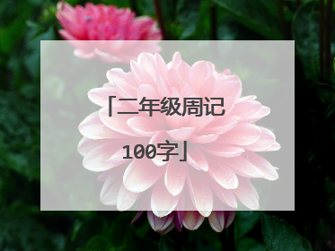 二年级周记100字