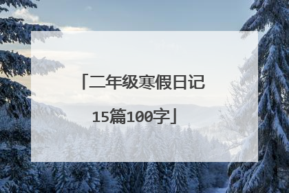 二年级寒假日记15篇100字