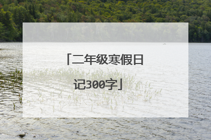 二年级寒假日记300字