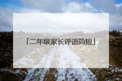 二年级家长评语简短