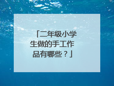 二年级小学生做的手工作品有哪些？