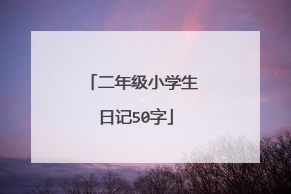 二年级小学生日记50字