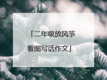 二年级放风筝看图写话作文