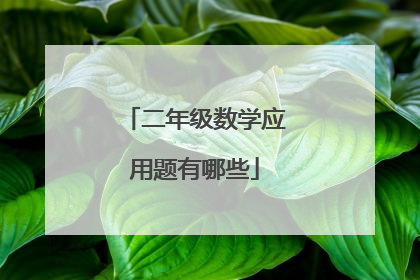 二年级数学应用题有哪些