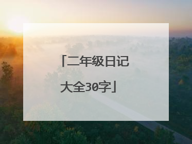 二年级日记大全30字