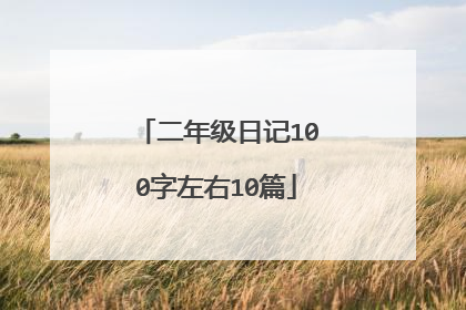 二年级日记100字左右10篇