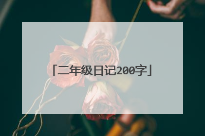 二年级日记200字