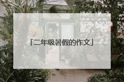 二年级暑假的作文