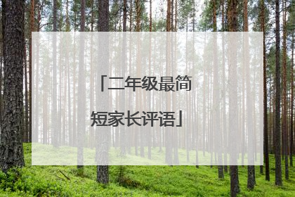 二年级最简短家长评语