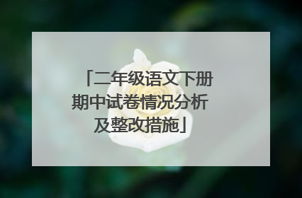 二年级语文下册期中试卷情况分析及整改措施