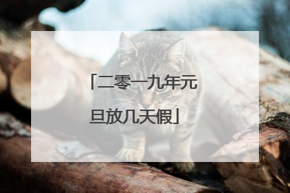 二零一九年元旦放几天假
