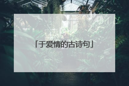 于爱情的古诗句