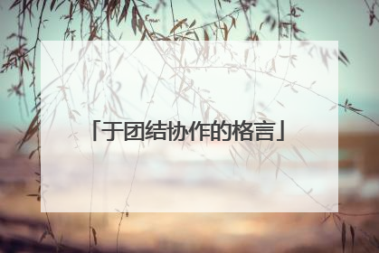于团结协作的格言