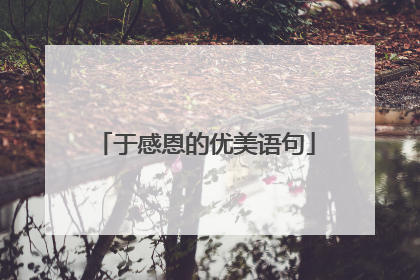 于感恩的优美语句