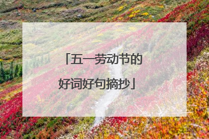 五一劳动节的好词好句摘抄