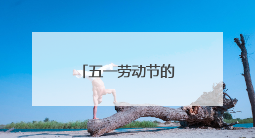 五一劳动节的来历20字