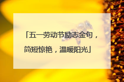 五一劳动节励志金句，简短惊艳，温暖阳光