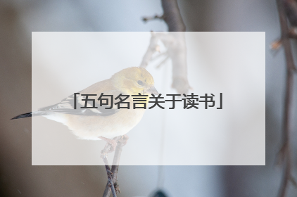 五句名言关于读书