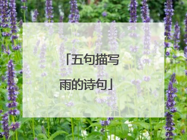 五句描写雨的诗句