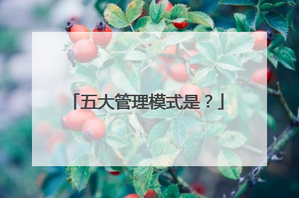 五大管理模式是？