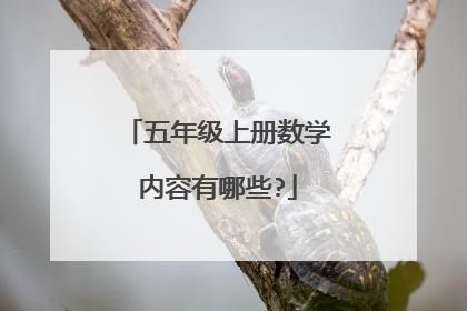 五年级上册数学内容有哪些?