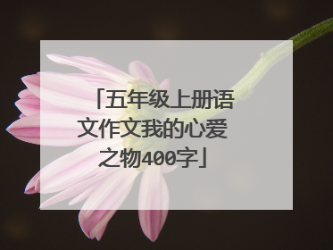 五年级上册语文作文我的心爱之物400字