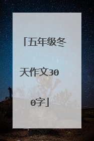 五年级冬天作文300字