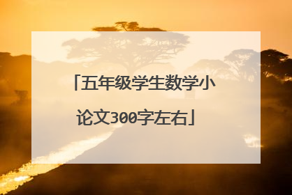 五年级学生数学小论文300字左右