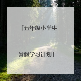 五年级小学生暑假学习计划