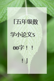 五年级数学小论文500字!!!