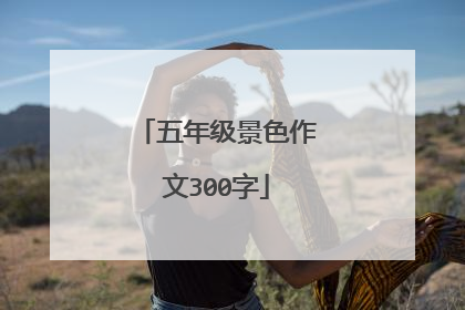 五年级景色作文300字