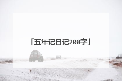 五年记日记200字