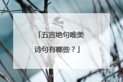 五言绝句唯美诗句有哪些?