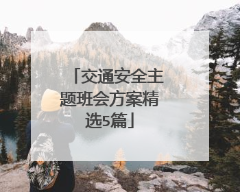 交通安全主题班会方案精选5篇