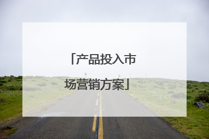 产品投入市场营销方案