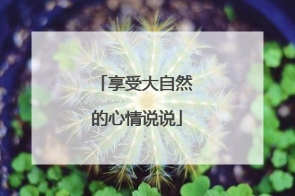 享受大自然的心情说说