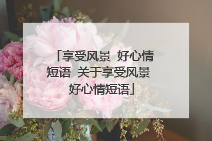 享受风景 好心情短语 关于享受风景 好心情短语