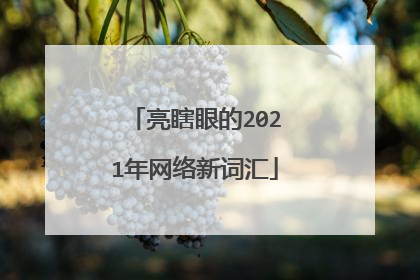 亮瞎眼的2021年网络新词汇