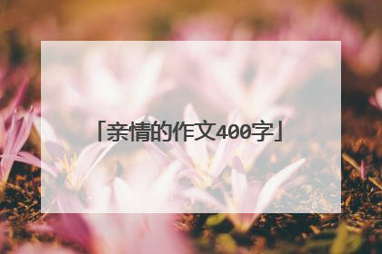 亲情的作文400字