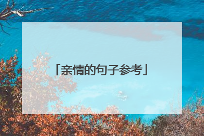 亲情的句子参考