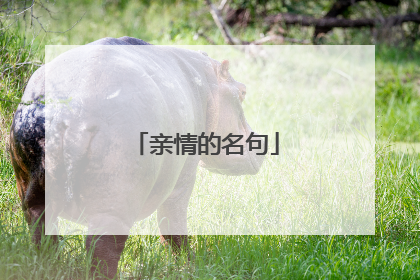 亲情的名句