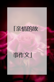 亲情的故事作文