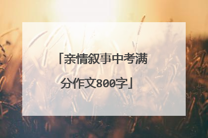 亲情叙事中考满分作文800字