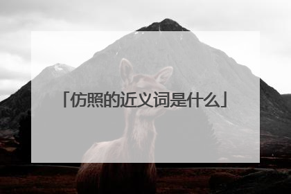 仿照的近义词是什么