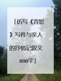仿写《背影》写件与亲人的抒情记叙文 800字