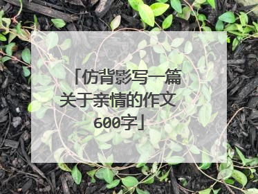 仿背影写一篇关于亲情的作文600字